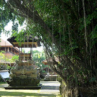 Photo de Bali - Balade, Garuda et spectacle